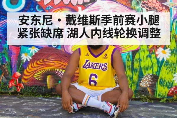安东尼·戴维斯季前赛小腿紧张缺席 湖人内线轮换调整